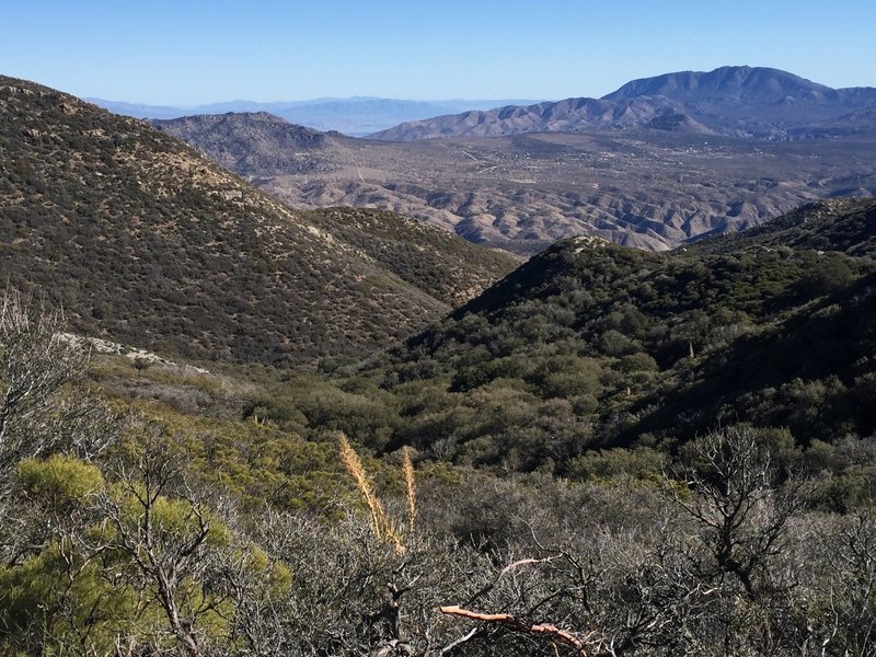 From the PCT looking into Live Oak Canyon.