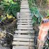 Old wooden bridge