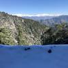 Views of Mt. San Antonio and Monrovia Peak from the toll road near the summit