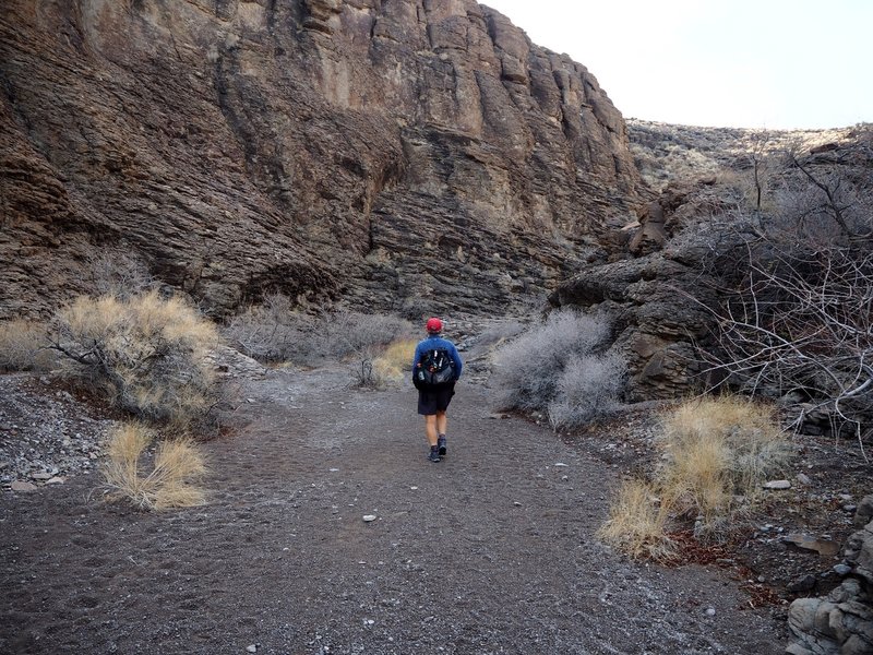 A short ways up the wash, the canyon narrows a bit