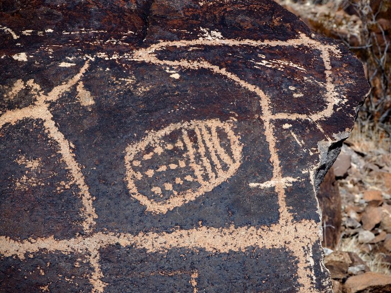 One of the many petroglyphs in this area