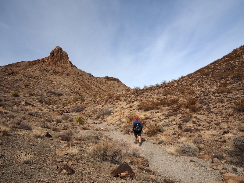 On the 200 Trail past Point 3970