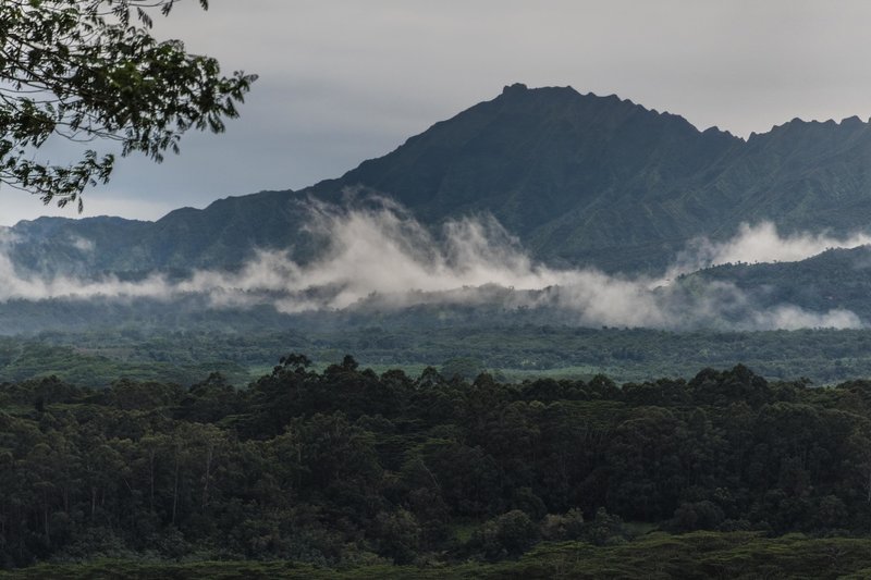 Foothills of Mount Wai'ale'ale seen from the trail.