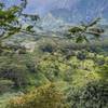 View towards the west from the Kuilau Ridge Trail.