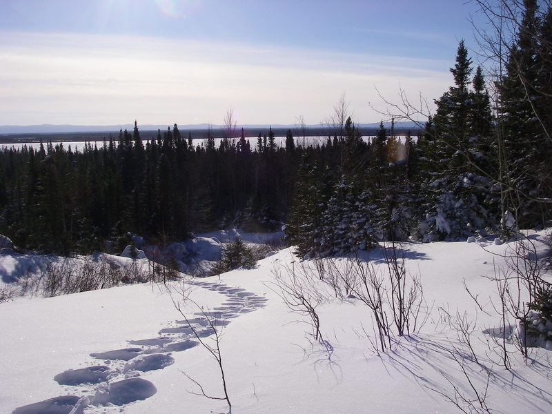 Snowshoe trail E1 by Games Trail quarry