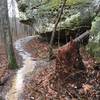 Bluff line along back loop of trail.