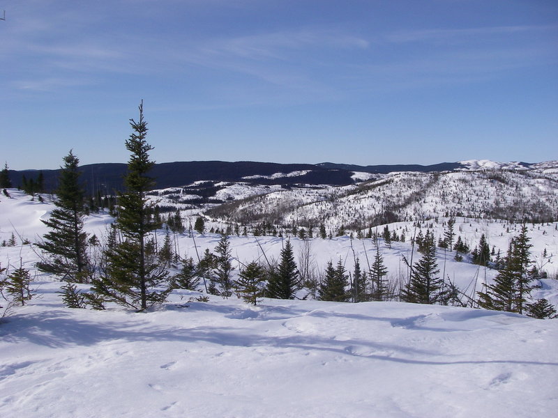View of Lynx Trail from the summit of snowshoe trail E3