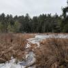 open water wetland on York Lake in winter