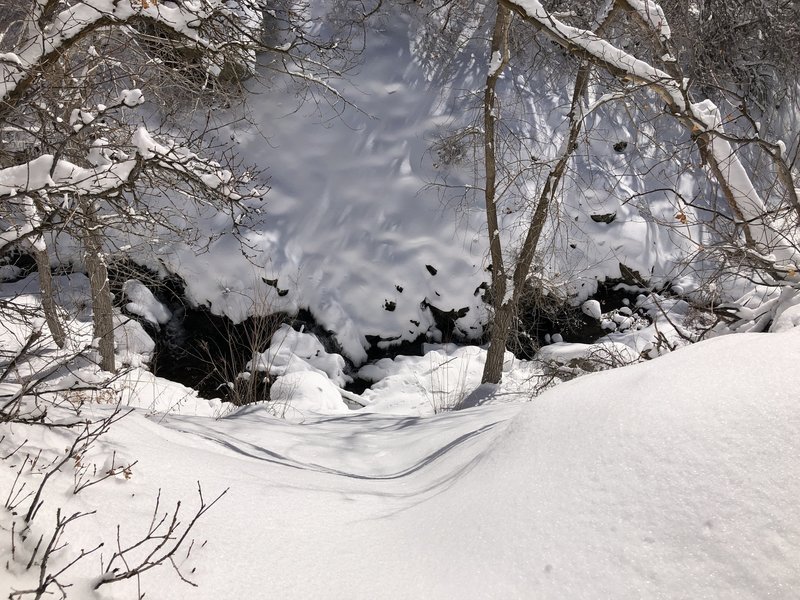 Looking down at the creek. 1.5 miles in from Bair Canyon Trailhead