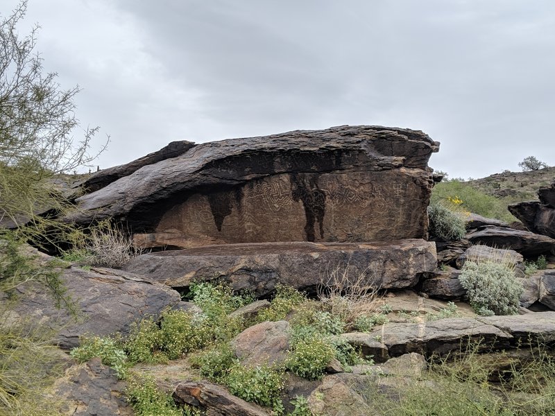 Not sure if these carvings/markings in the stone are real or not, but they are protected by a man made wooden barrier, so maybe...