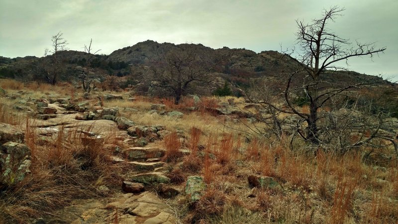 Elk Mountain ahead, as Elk Mountain Trail climbs towards it.