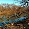 Small pond in February, with ducks, turtles, etc. in warmer months, just past the Visitor Center along Courage Trail.