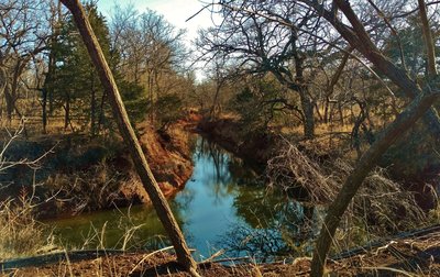 Spring Creek runs through the grassy woodlands of Martin Park Nature Center, a wonderful city park in Oklahoma City.