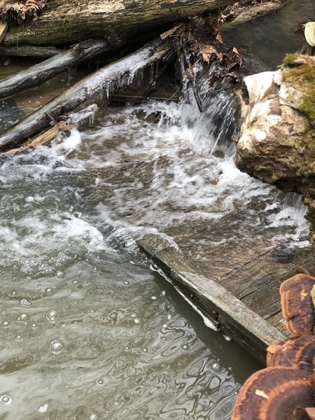 Mini (semi frozen) waterfall & mushrooms.