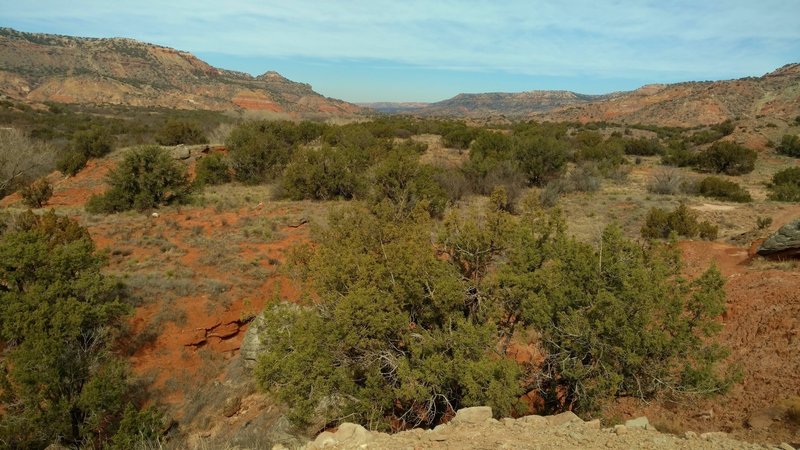 The red sandstone of the canyon bottom is covered with grasses and junipers.