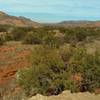 The red sandstone of the canyon bottom is covered with grasses and junipers.