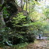 Approaching a creek crossing.