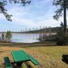 Farles Lake - Ocala National Forest