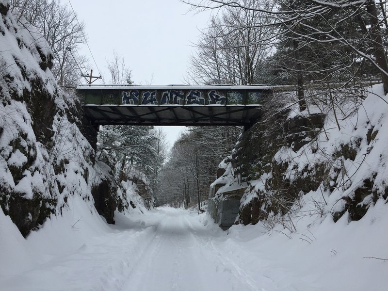 The trail shortly after a snowstorm.