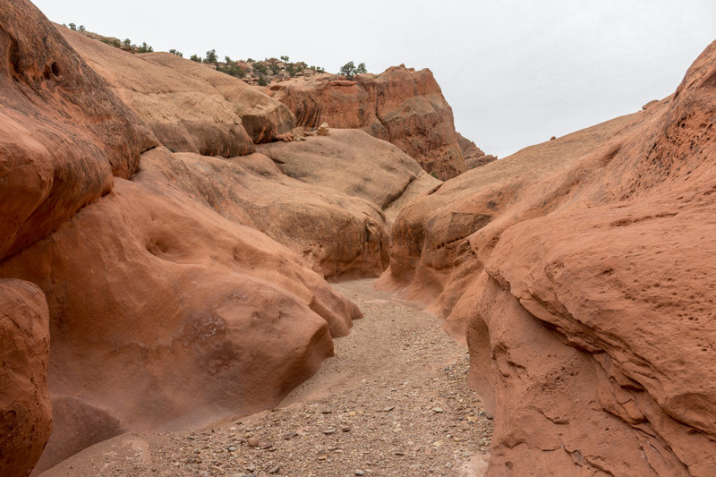 Lower Muley Twist Canyon leads through red Kayenta Sandstone