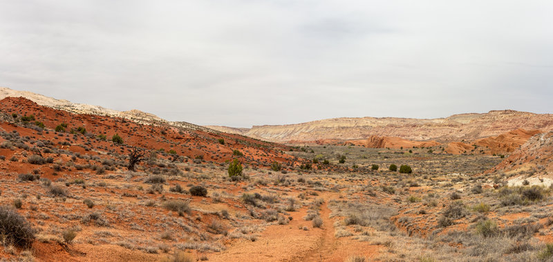 Grand Gulch from Halls Creek Drainage.