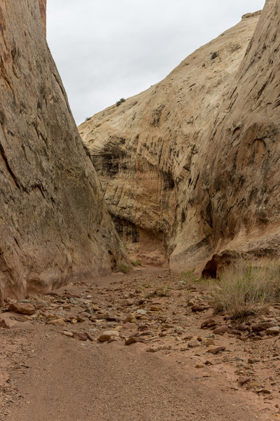 Narrow section just beyond the mouth of Lower Muley Twist Canyon.