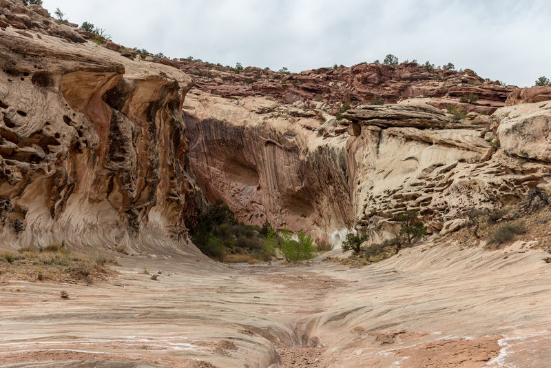 A small side canyon feeding into Lower Muley Twist Canyon.