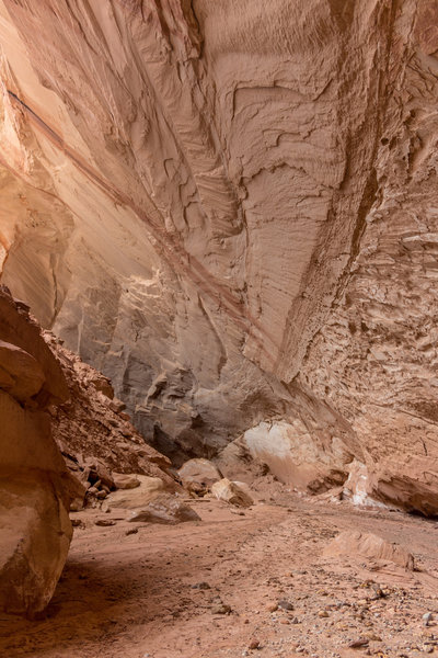 Water has carved enormous alcoves into the walls of Lower Muley Twist Canyon.