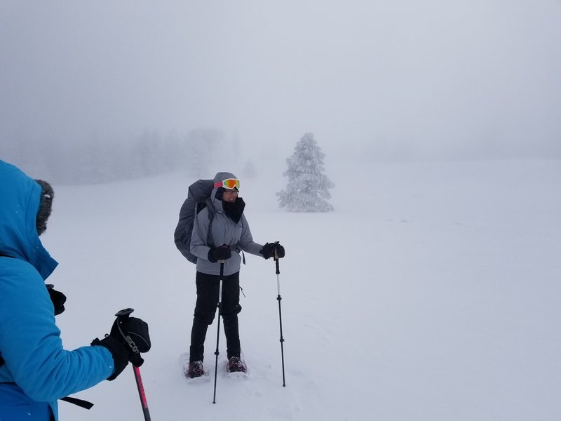 Near whiteout conditions.