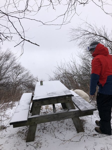 Lookout at “hibernation”.