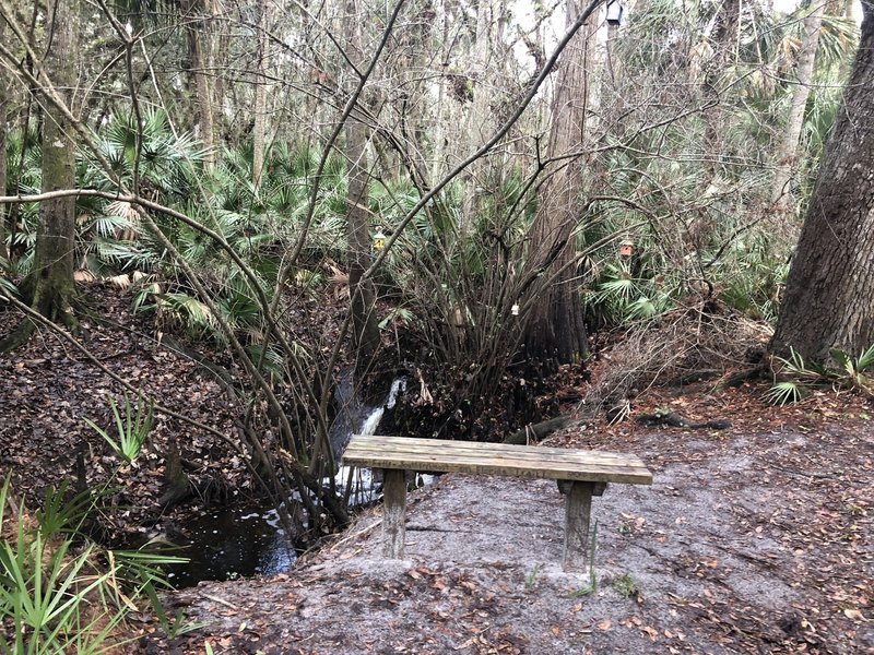 Zen Bird Sanctuary - running water, birdhouses and a bench.