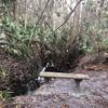 Zen Bird Sanctuary - running water, birdhouses and a bench.