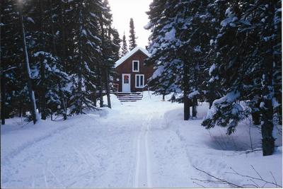 The old log cabin on Rabbit Run, the original trail.
