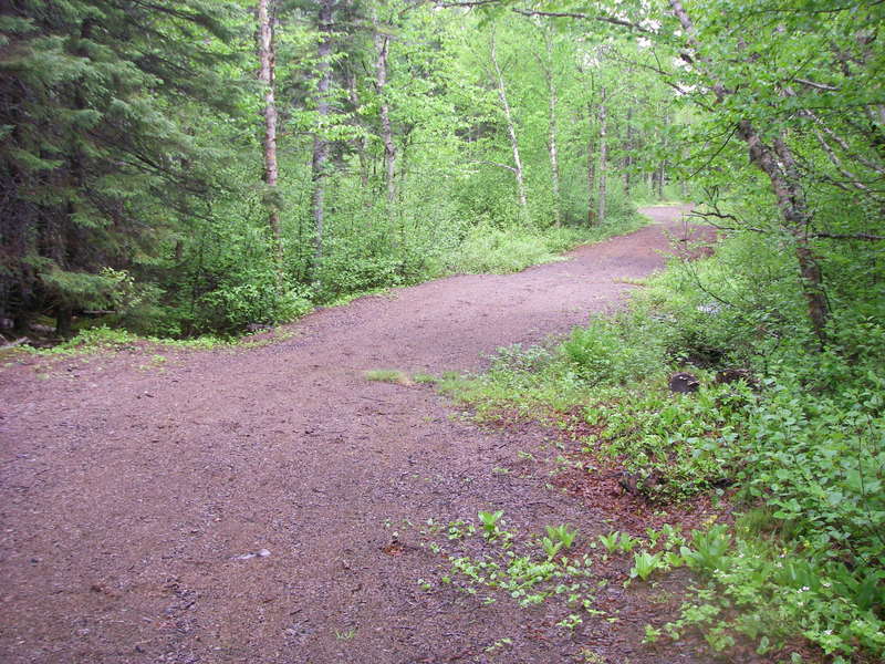 Games Trail in early summer.