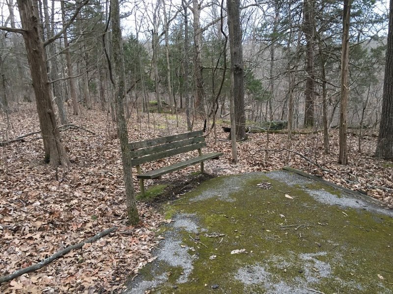 One of the many benches that can be found throughout the trail.