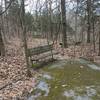 One of the many benches that can be found throughout the trail.