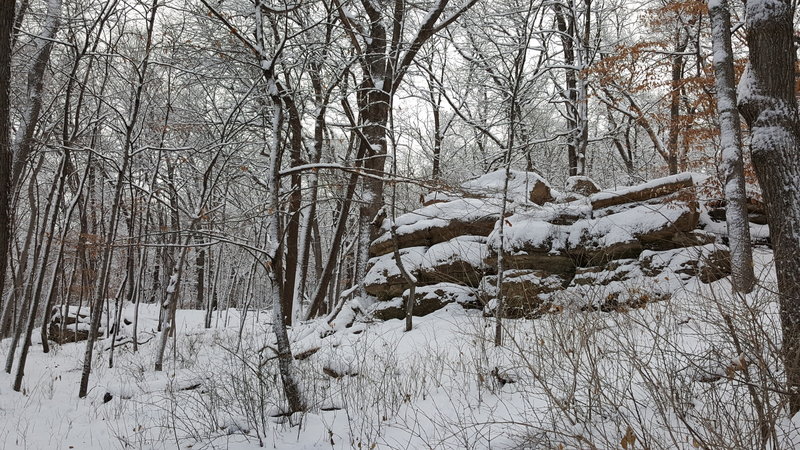 Dolomite outcropping.