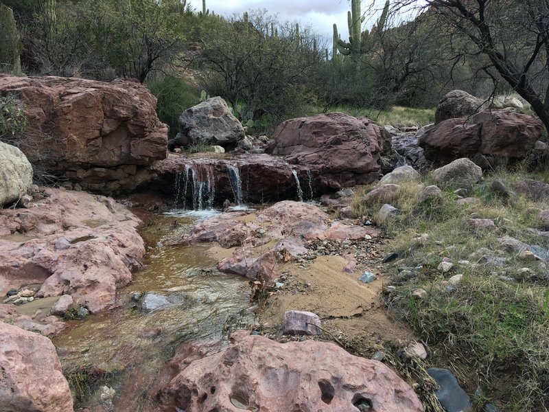 Dripping Spring.