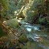 Aptos Creek at the end of Aptos Creek Trail. Five Finger Falls is on the side creek to the left that joins Aptos Creek here.