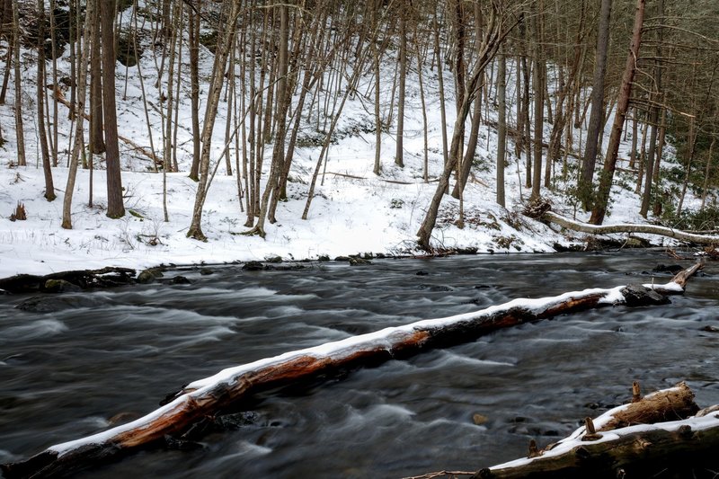 Most only experience the cascades when visiting Raymondskill Falls, but taking a walk off the beaten path to view the creek downstream is rewarding in and of itself.