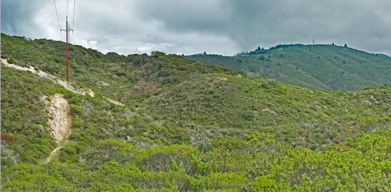 Scarper Road was created to maintain the power lines. Because it runs below the SF Watershead and parallels the power lines, it has many steep ups and downs as it crosses gullies.