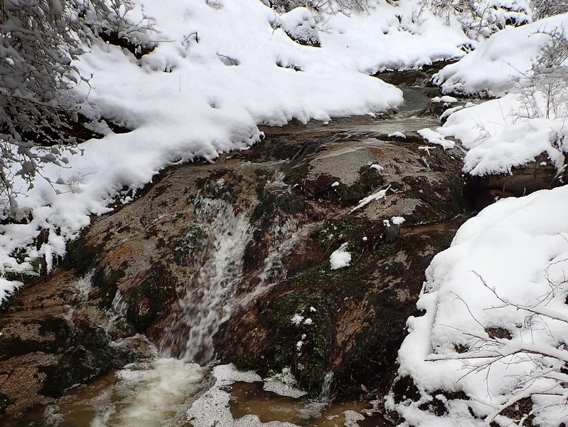 One of the small cascades along Cantrall Creek