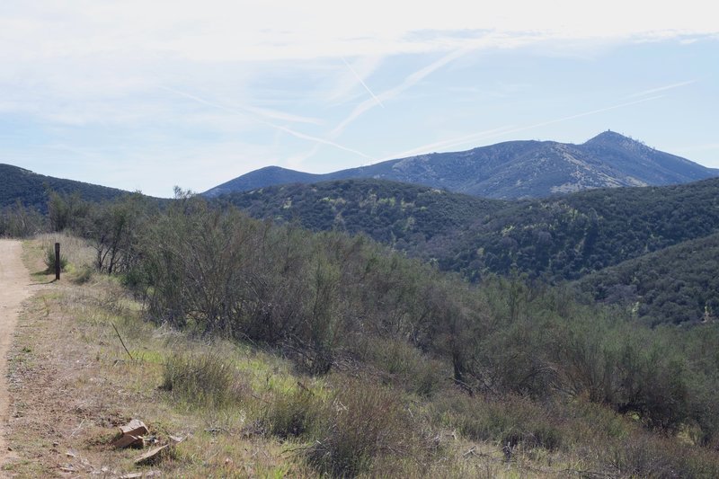 The Jawbone Trail descends to the right and you can see the North Chalone fire tower off in the distance.