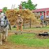 Slate Run Historic Farm