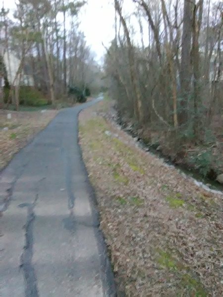 Trail next to a stream.