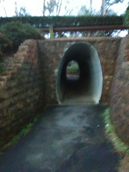 Tunnel under Woodcroft Parkway