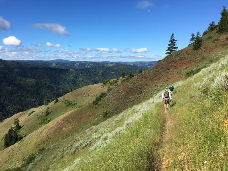 Upper trail of North Fork commonly called the Coyote Ridge section.