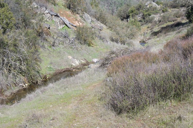 The West Fork Chalone Creek follows the trail. While the creek may be dry most of the year, if there have been recent rainstorms, you can hear it as it makes its way through the creek bed.