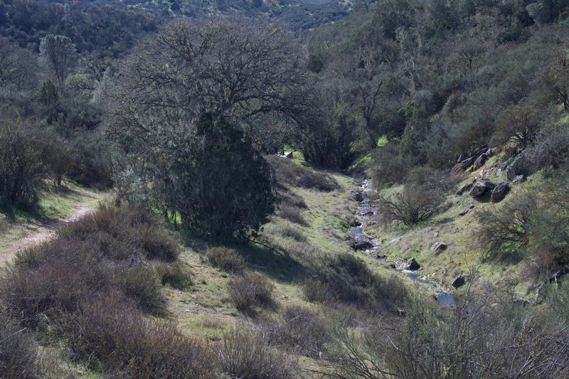 You can see the footbridge in the distance. After recent rain, the West Fork Chalone Creek was full and provided a nice soundtrack for the hike.