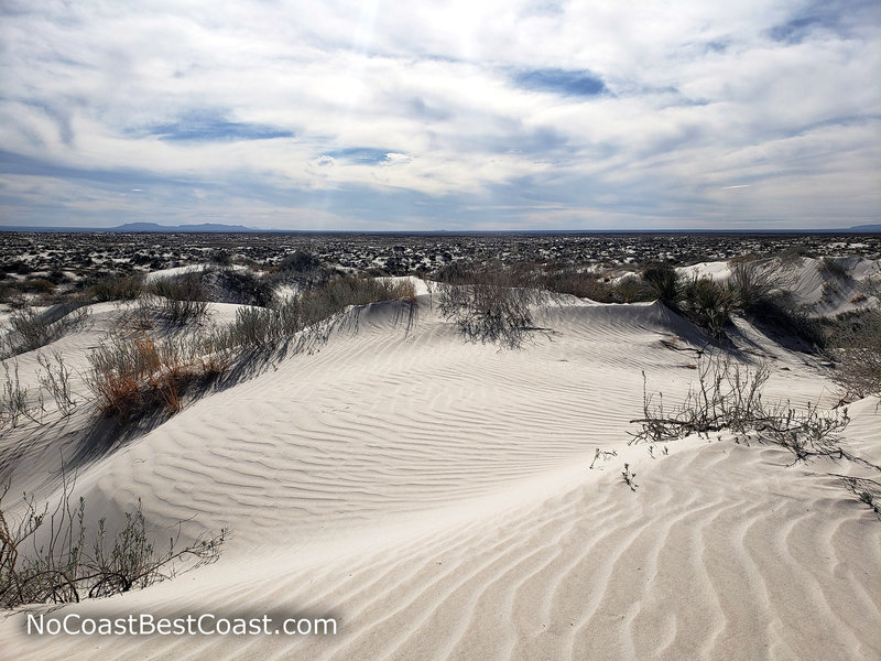 Ripples in the Salt Basin Dunes looking west.